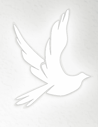 M.  Barbara Phelps Obituary